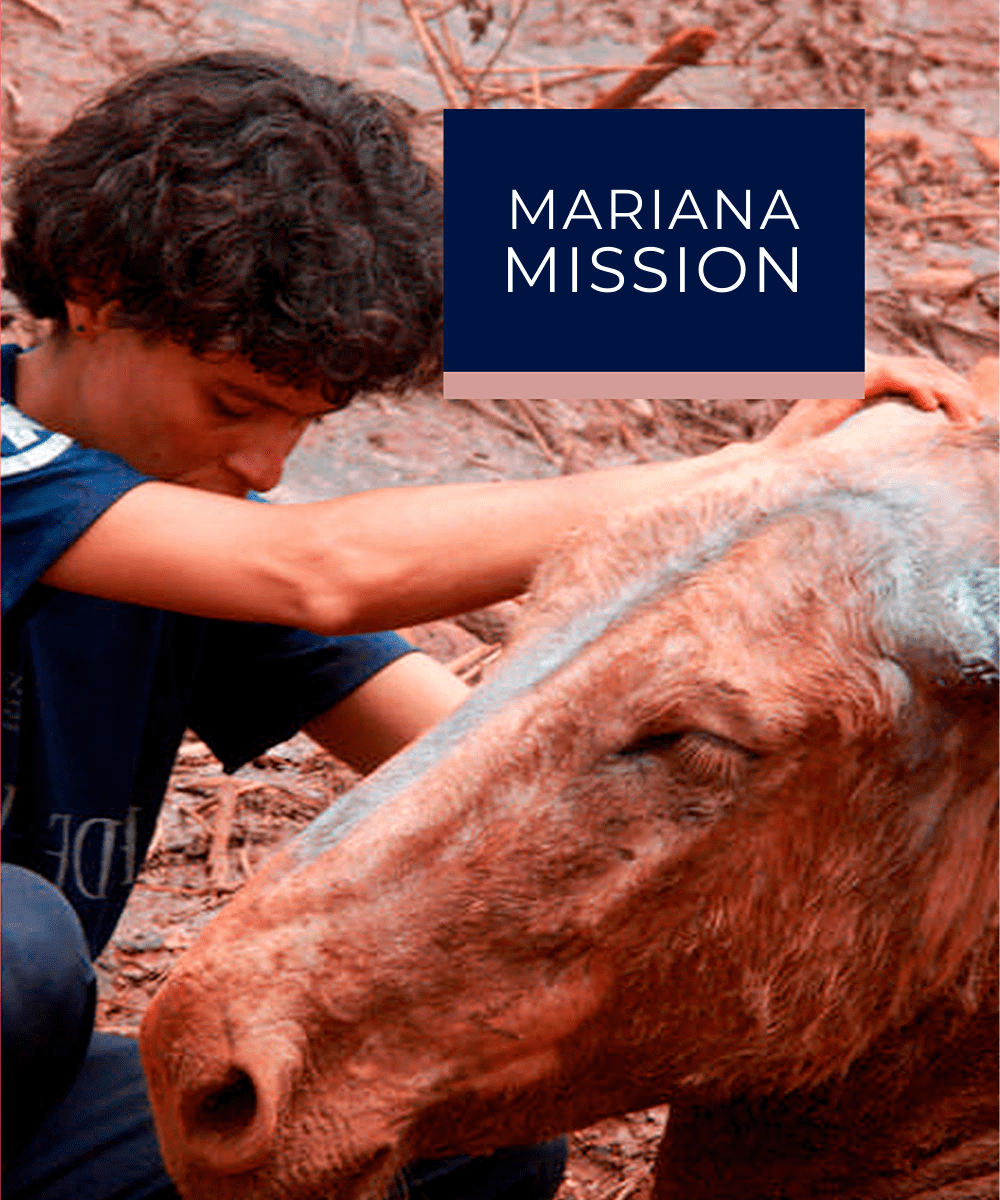 Mariana Mission