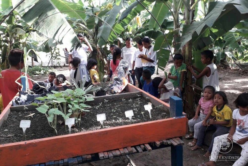 Projeto de agroecologia pedagógica em Roraima