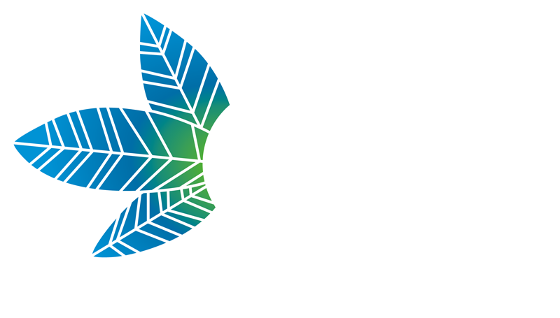 Centro Cultural e de Formação Indígena (CCFI)